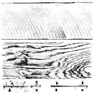 barnwood plank stamp
