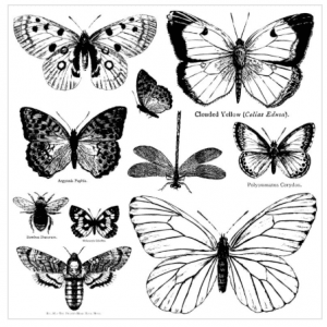 butterflies stamp
