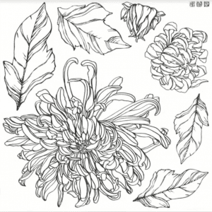 Chrysanthemum IOD stamp