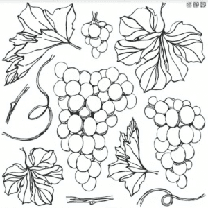 grapes iod stamp