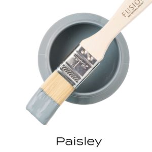 paisley fusion mineral paint